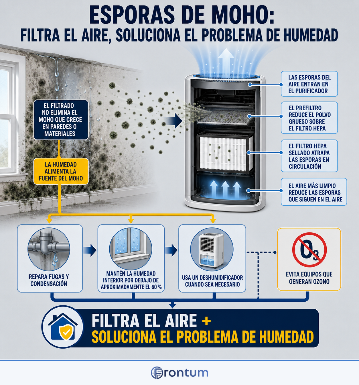 esporas-de-moho-filtra-el-aire-soluciona-el-problema-de-humedad-infographic-es