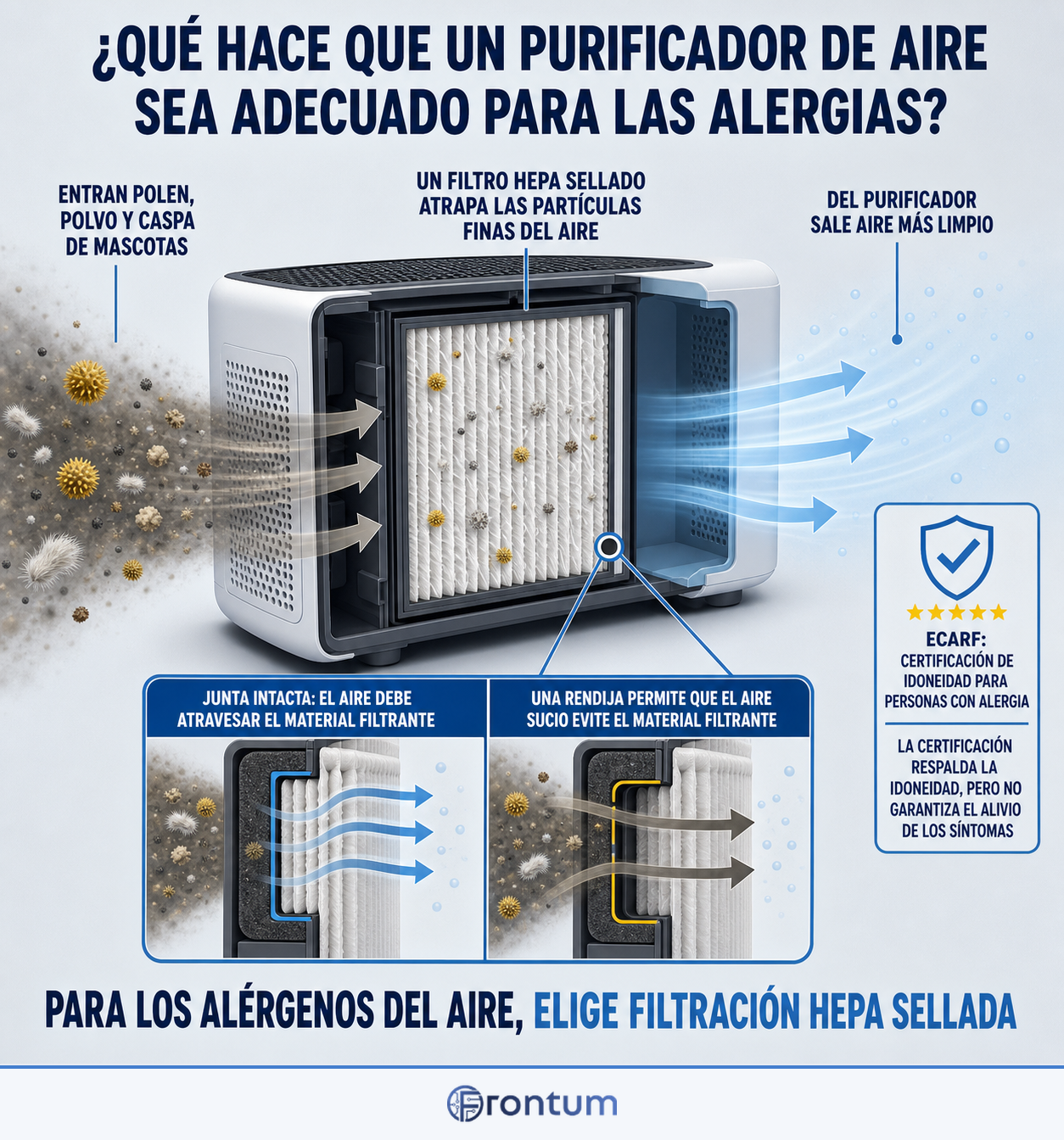 que-hace-que-un-purificador-de-aire-sea-adecuado-para-las-alergias-infographic-es
